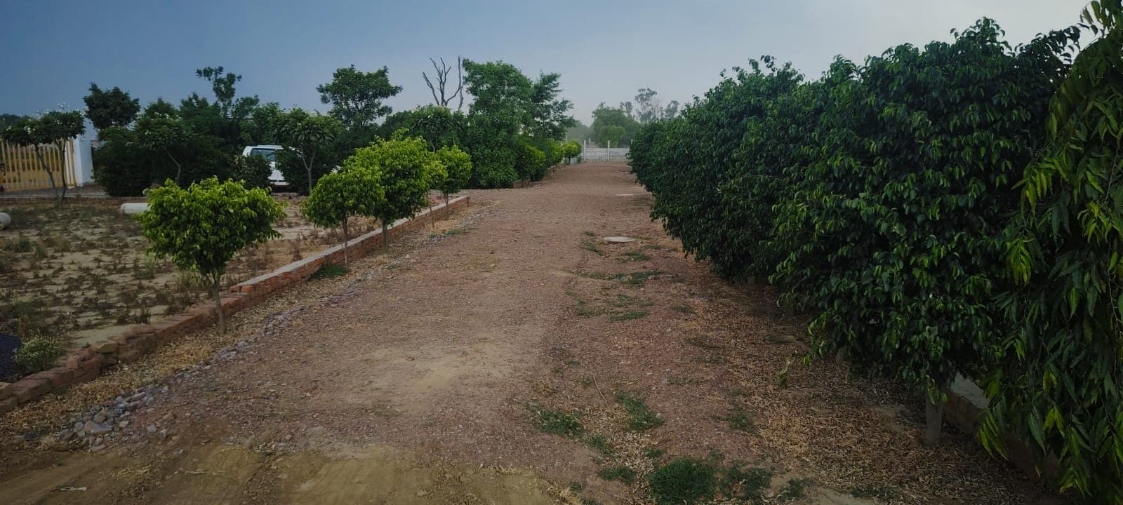 ✈️ जेवर एयरपोर्ट के पास Freehold प्लॉट – भविष्य का सबसे स्मार्ट निवेश 🌳🏠